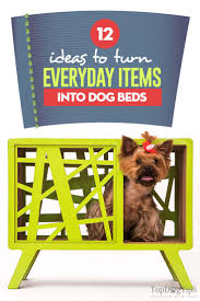 We did not find results for: 12 Creative Ideas To Turn Everyday Items Into A Diy Dog Bed