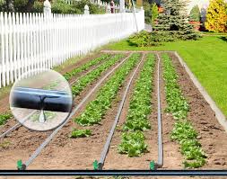 Best home garden irrigation systems. Garden Drip Tape Irrigation Kit 1 000 Bioplus Dubois Agrinovation Ca