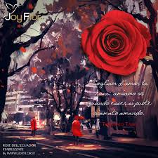 Joyflor Unmondofragrante Rose Ecuador Bellezza Amore Passione Flower Poesia Rose Ecuador Fiori