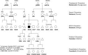 Anthropological Family Tree Diagram Yahoo Image Search