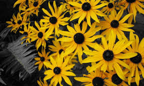 Puisi Rancangan Yesus Adalah Yang Terbaik Warungsatekamu Org