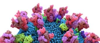 Researchers found that a young woman infected with one strain of the coronavirus was, just weeks after recovering. Wo3vhpp9yrgxtm