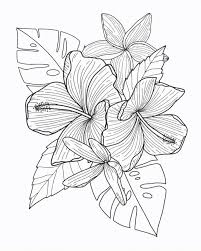 Download Floral Illustration On Ipad Pro Apple Pencil Procreate App Photoshoptutorialvideo Floral Illustrations Flower Drawing Tutorials Flower Drawing