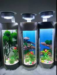 Tangerang jonathanjojo (897) tambah ke wishlist. Aquarium Tabung Aquarium Ikan Cupang Aquarium Ikan Hias Aquarium Iksn Guppy Aquarium Hiasan Rumah Aquarium Lampu Dekorasi Rumah Aquarium Rumah Kandang Hewan Kandang Binatang Rumah Cupang Ikan Hias Yang Cocok Dan Indah Lazada Indonesia