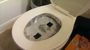 My Girlfriend S Cool In Toilet Training For Cats Awesome Cat Toilet Training Cat Training Litter Box Cat Toilet