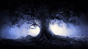 Dark Forest Wallpaper 1080p Roses Dragon Fantasy Night 1920x1080 Wallpaper Teahub Io Fantasy, night, forest, moon, fantasy art, digital art, 3d, castle. dark forest wallpaper 1080p roses