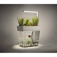 aquagarden ekolojik akvaryum 249 00 tl ve ucretsiz kargo ile n11 com da aqua garden design akvaryum fiyati evcil hayvan urunleri hidroponik akuaponik bi tki