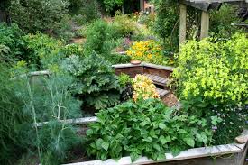 Beauty garden landscaping has been creating beauty gardens for bay area residents for more than 15 the level of service at beauty garden landscaping is fantastic. Design Your Edible Landscape Co Op Welcome To The Table
