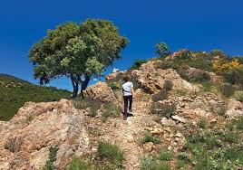 Citation nature ★ découvrez 2607 citations sur la nature, le ciel, le naturel parmi des milliers de citations ► proverbes ► maximes, partagez vos citations. Grandeur Nature Golfe De Saint Tropez Tourisme