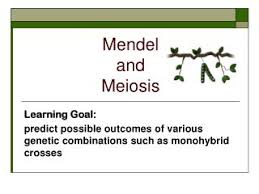 • dominate allele for tall plants = d recessive allele for dwarf plants = d dominate allele for purple flowers = w recessive allele for white flowers = w cross a homozygous dominate parent (ddww). Chapter 10 Mendel And Meiosis Ch 10 Study Guide Answer Key