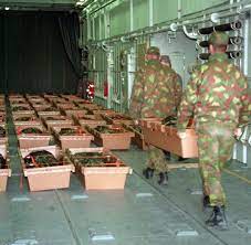 Untersuchungen ergaben später, dass die scharniere der bugklappe bei der rauen see starken belastungen ausgesetzt waren und während der fahrt brachen. Estonia Untergang 1994 Die Offenen Fragen Des Schiffsunglucks Welt