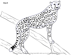 In this tutorial, we will draw cheetah running. Cute Baby Cheetah Drawing Easy Novocom Top
