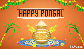 Happy Pongal 2019 Best Pongal Whatsapp Messages Facebook Wishes Greetings And Sms To Celebrate The Tamil Harvest Festival India Com New users enjoy 60% off.