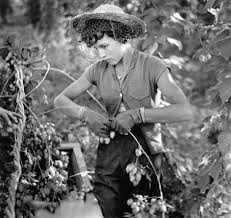 Google Image Result For Http Www Sl Nsw Gov Au Images Exhibitions 2011 Beach Photo Australian Photography Australian Photographers