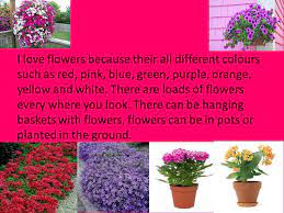 It doesn't take a lot of expensive supplies either. Flowers How I Love Flower S I Love Flowers Because Their All Different Colours Such As Red Pink Blue Green Purple Orange Yellow And White There Ppt Download