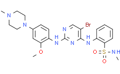 Image result for ALK Inhibitor