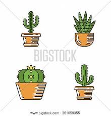 Color erupts when spring comes to desert. Wild Cactus Pot Color Vector Photo Free Trial Bigstock