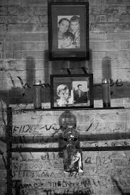 Profile for The Wacky World of PJ Ferrato