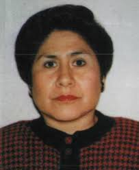 Directorio de Recursos Humanos afines a la CTI