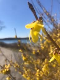 We did not find results for: We Asked For Your Best Photos Of Spring Here Are Our Favorites