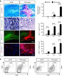Image result for Fibrinogen