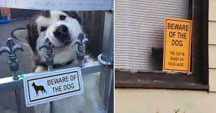 Quickly he knelt down again, crawled back to the bed and hoisted himself in. 45 Dogs Behind The Beware Of The Dog Signs That Are Far From Dangerous