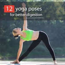 Yoga For Digestion 12 Poses To Get Things Moving Basic Yoga Poses Yoga Poses For Beginners Yoga Poses