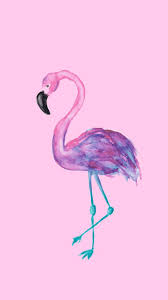 Multiple sizes available for all screen sizes. 24 Images About Flamingos On We Heart It See More About Flamingo Pink And Wallpaper