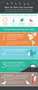 Bird Migration Types Bird Migration Migrations Bird