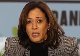 Kamala Harris Lied About Abortion During the Debate, Here's The Truth