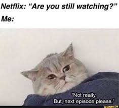 Do you want are you still watching to pop up or not? Netflix Are You Still Watching Me Not Really But Next Episode Please In 2021 Funny Memes Funny Caricatures Memes