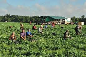 Locuri de munca in spania 2016. Locuri Unde Se Poate Munci In Agricultura In Spania Portal Online Pentru Romanii Din Spania