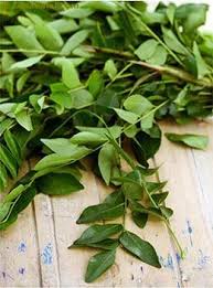 Farmers will look after a growing curry tree in exchange for 5 full baskets of bananas. What Is Curry Leaves Glossary Benefits Uses Recipes With Curry Leaves