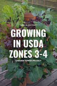 Vertical Garden Planter Tips And Tricks In Usda Zones 3 And 4 In 2021 Vertical Garden Planters Zone 3 Garden Planters