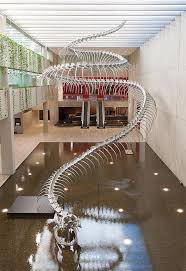 A Giant Aluminum Snake Skeleton Rises From A Pool Of Water At The Queensland Art Gallery Gallery Of Modern Art Art Gallery Modern