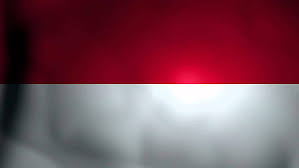 Check spelling or type a new query. Hd Wallpaper Flag Flags Indonesia Indonesian Wallpaper Flare