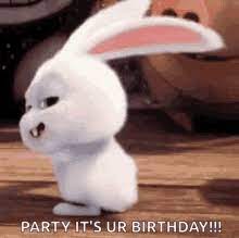 Happy Birthday Bunny Gifs Tenor