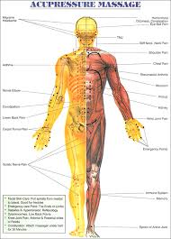 64 Punctual Human Body Pressure Points