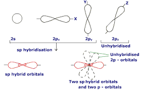 Hybridization Chemistry Chemistry Tutorvista Com Organic Chemistry Chemistry Lessons Chemistry Help