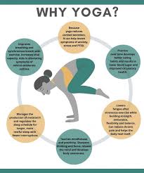 Yoga lesson, yoga position, yoga benefits, yoga alliance, prenatal yoga, restorative yoga, benefits of yoga, yoga for beginners, yoga classes, yoga for all, meditation, mental growth, yoga life, yoga girl, budda. Yoga Provides Great A Mental And Physical Workout Fenton Inprint Online