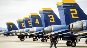 Image result for Light Cream 2018 Fleet