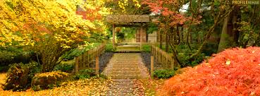 Add the autumn foliage facebook cover to your facebook in only 1 click. 41 Fall Wallpapers For Facebook On Wallpapersafari