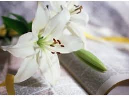 Canton Obituary: Gladys McFetridge, 86