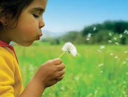 BRIGHT FUTURE IN THE NORTHERN EMIRATES