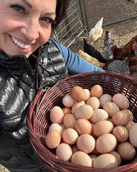 Fun facts about Farm Fresh Eggs & Chickens! Eggs are laid with a protective  layer called “bloom” that seals the pores