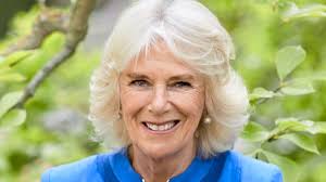 Camilla looks sensational in blue in never-before-seen birthday portrait