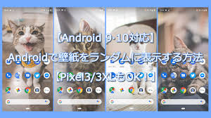 Самые новые твиты от エロいアニメの動画 (@xtwpp): Android 9 10å¯¾å¿œ å£ç´™ã‚'ãƒ©ãƒ³ãƒ€ãƒ ã«è¡¨ç¤ºã™ã‚‹æ–¹æ³• Pixel3 3xlã‚‚ok ç¤¾ç•œã‚¢ãƒ•ã‚£ãƒªã‚¨ã‚¤ãƒˆ