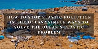 Purchase your own reusable bag and bring it with you when you go shopping. How To Stop Plastic Pollution In The Ocean Simple Ways To Solve The Ocean S Plastic Problem Ecopanda Uk