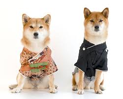 Therefore, it makes sense to choose a name that is no longer than two syllables. Unique Japanese Dog Names That Aren T Cliche Sterotypical My First Shiba Inu