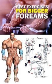Strengthening the muscles involved can help manage pain and speed recovery from injury or surgery. Bigger Forearms Bigger Forearms Forearm Workout Planet Fitness Workout Fitness Training
